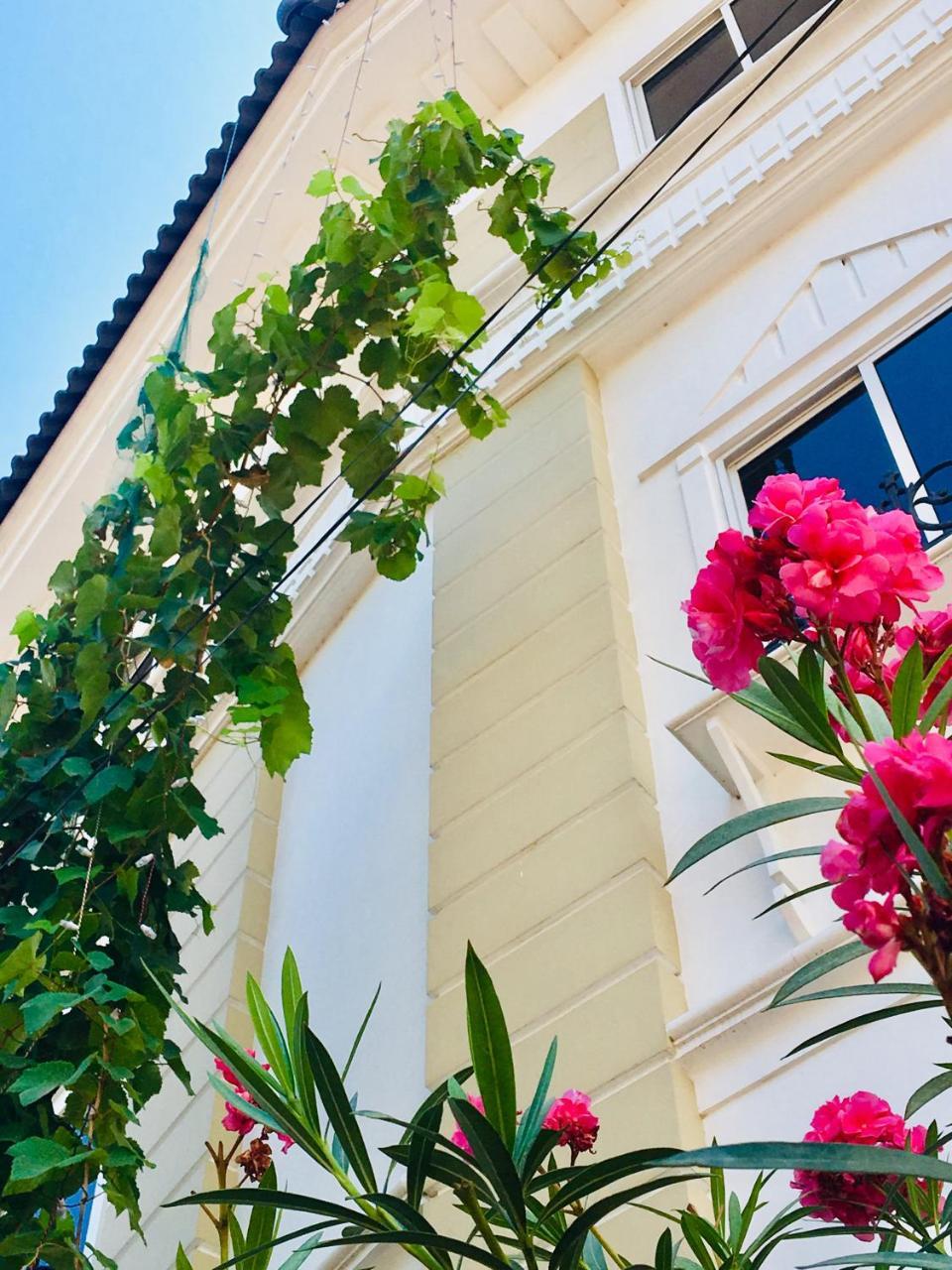 Daffodils Spice Court Hotel Kochi Ngoại thất bức ảnh